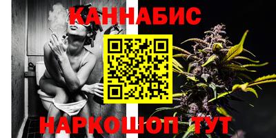 крисы Севастополь