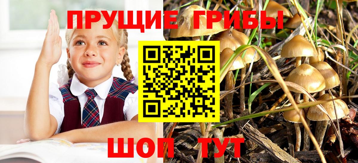 Галлюциногенные грибы MAGIC MUSHROOMS Орск
